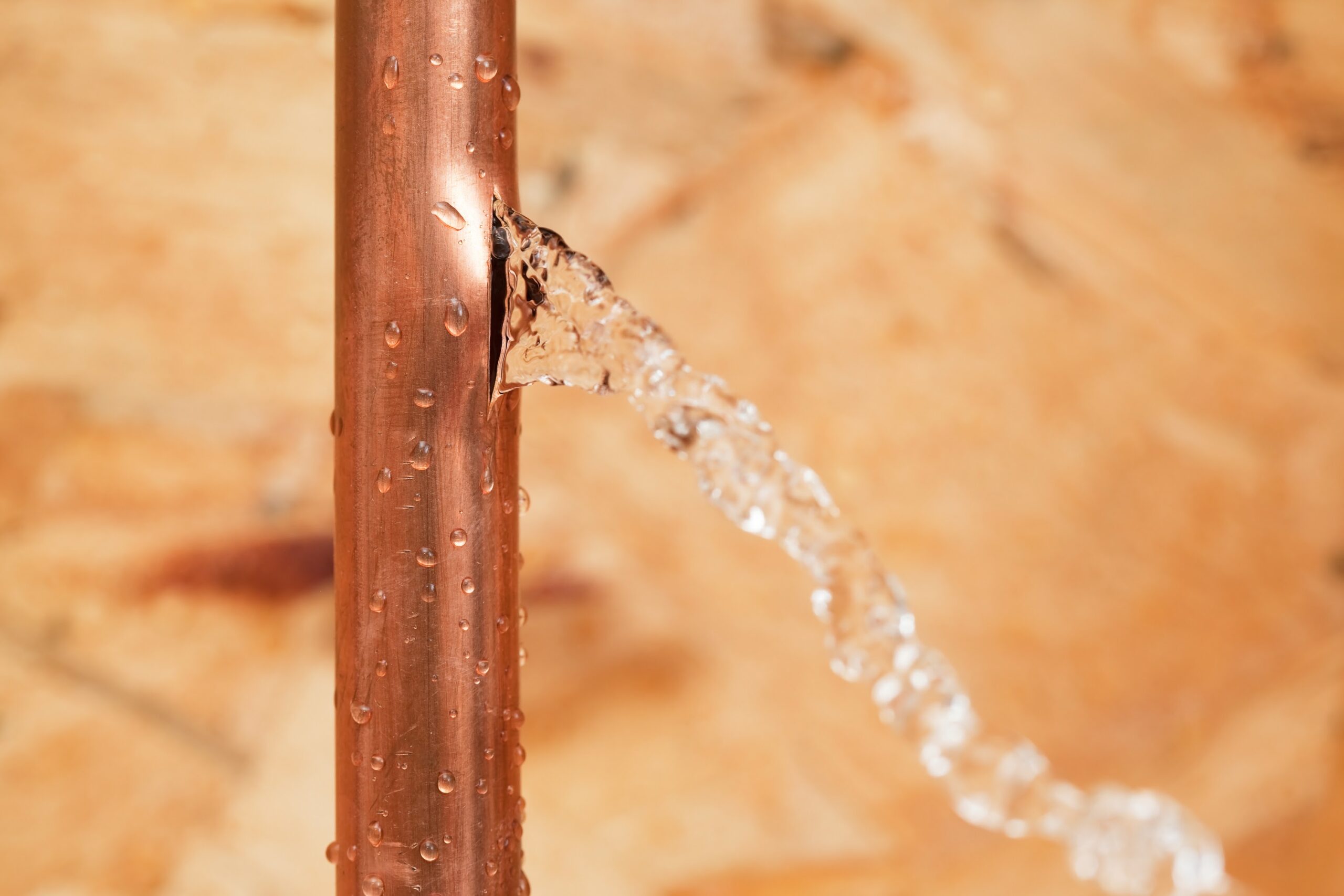 Close-up of a household 1/2